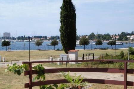 Murin Delfin Apartman Umag Kültér fotó